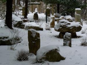 Photo of Foxhenge in winter